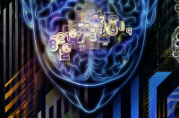 Image of human brain