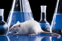 Image of drug experiment